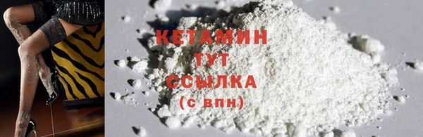 гидра Алексин