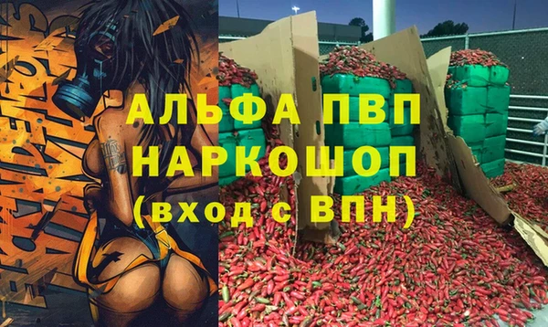 гидра Алексин