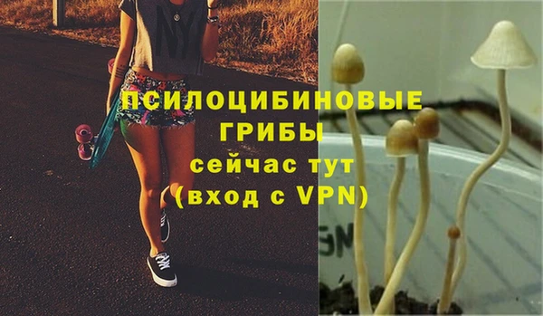 кокс Алзамай