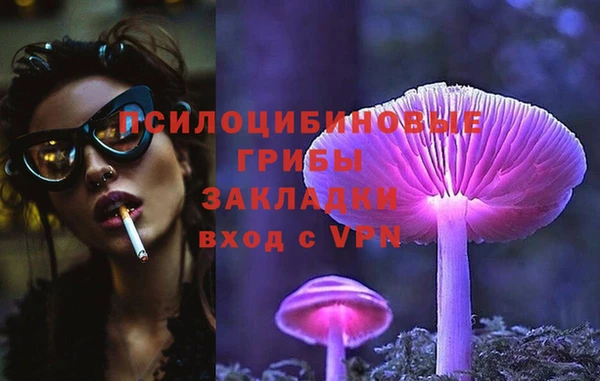 гидра Алексин