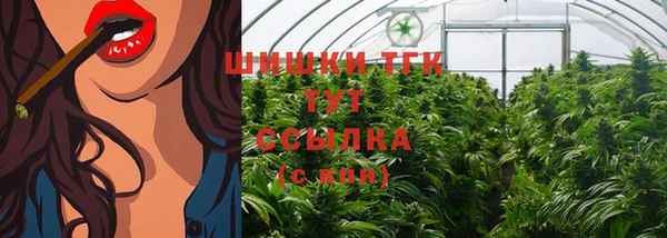 гидра Алексин
