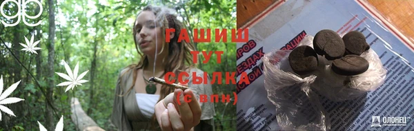 гидра Алексин