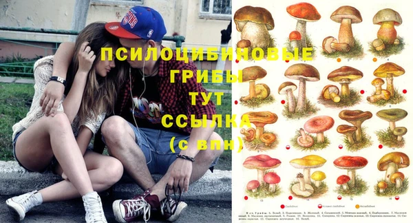 соль ск Алексеевка